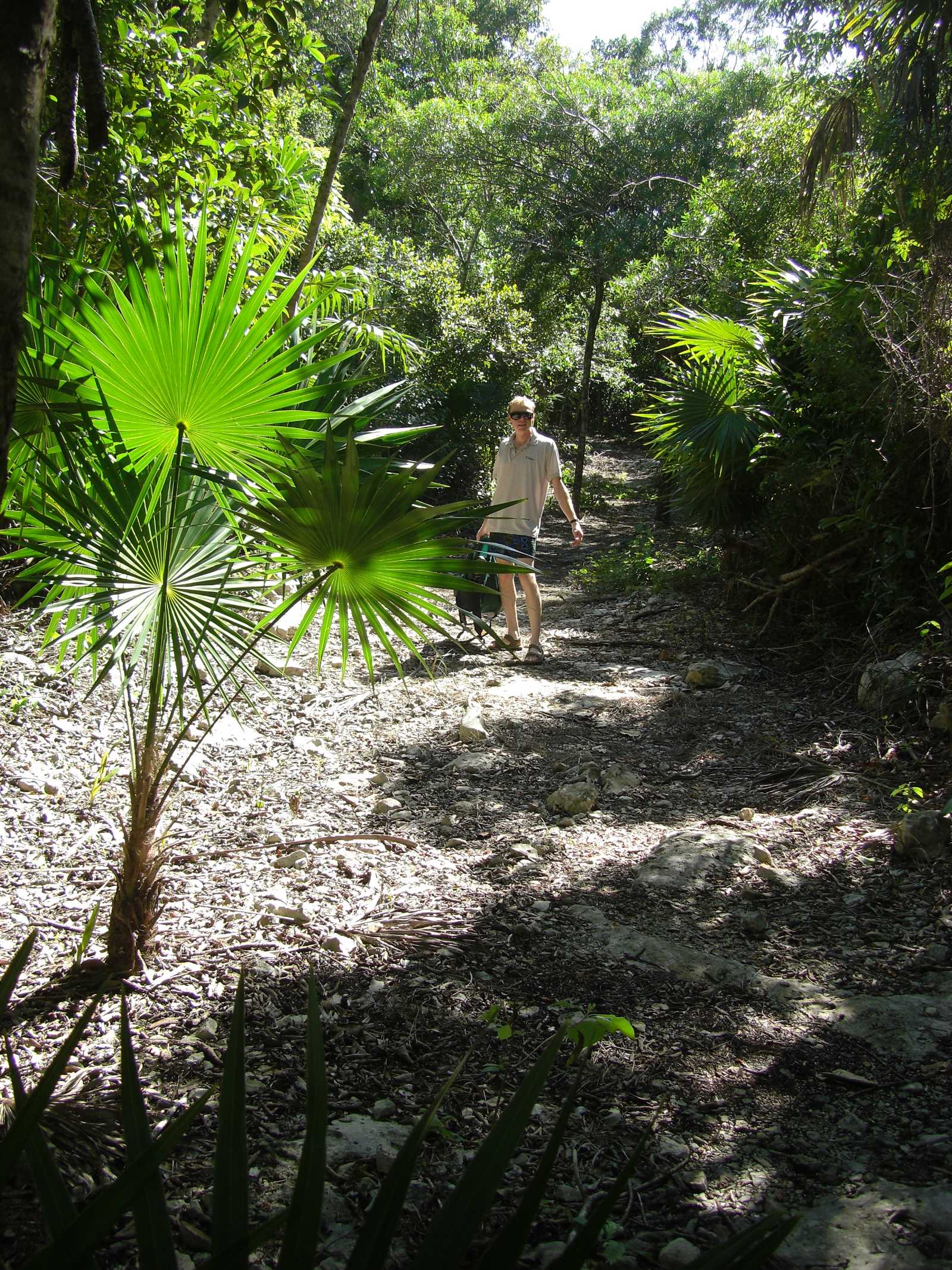 

0646 joe and fan palm

