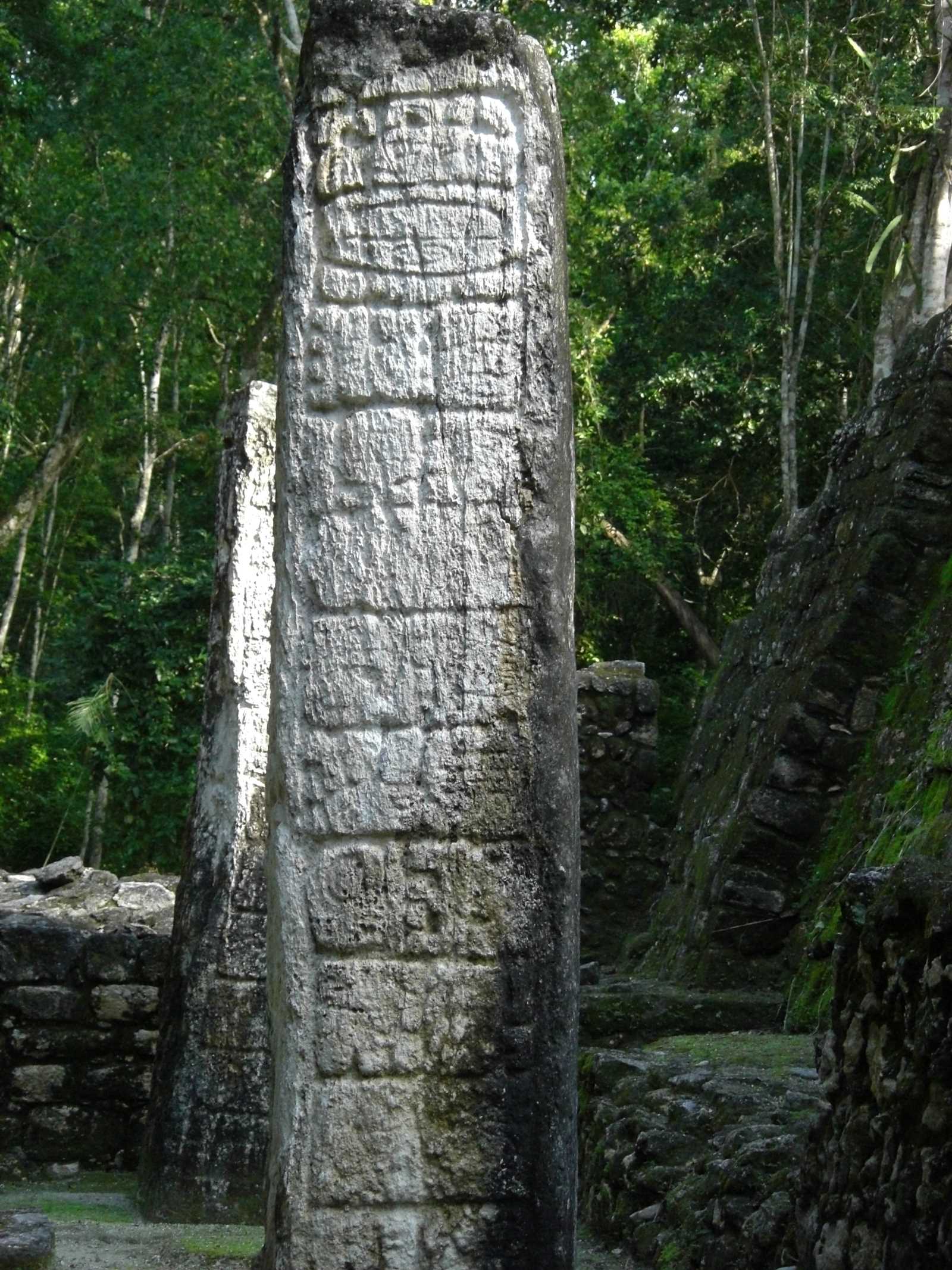 CIMG11
29 stelae
