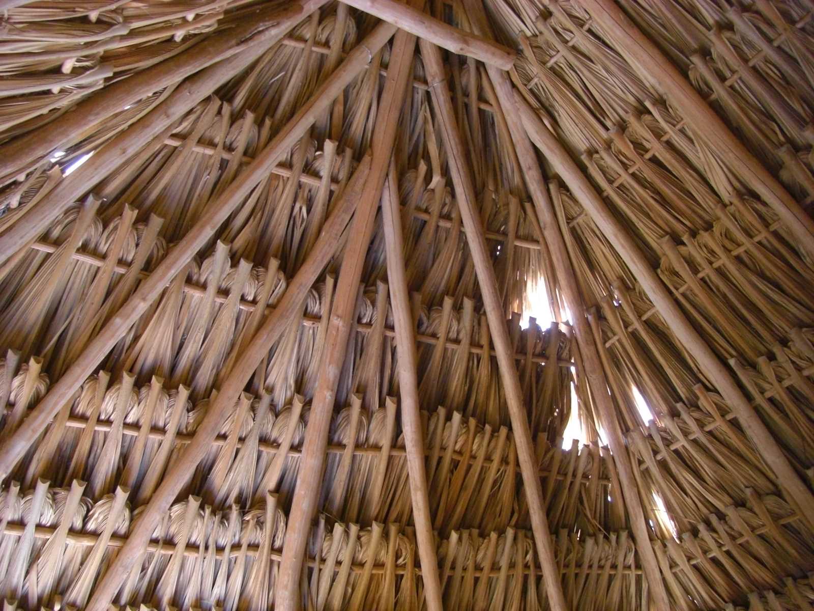 CIMG13
47 roof underside at Hochob